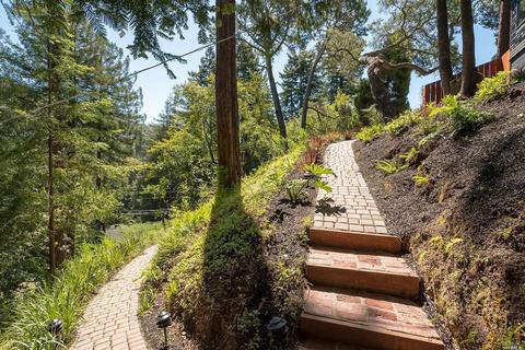 62 Magee Ave, Mill Valley, CA 94941 photo 44