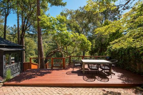 62 Magee Ave, Mill Valley, CA 94941 photo 33