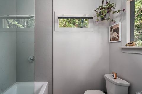 62 Magee Ave, Mill Valley, CA 94941 photo 21