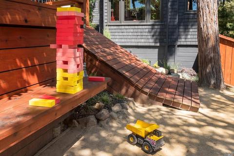 62 Magee Ave, Mill Valley, CA 94941 photo 38