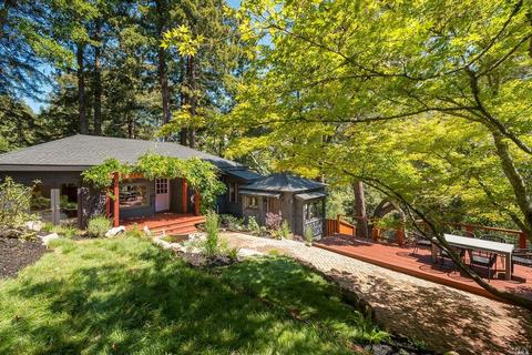 62 Magee Ave, Mill Valley, CA 94941 photo 36