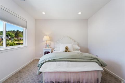 9592 Vancouver Ln, Windsor, CA 95492 photo 37
