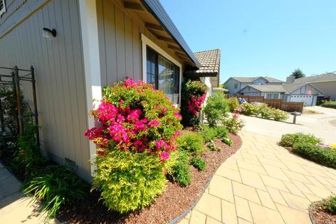 1109 Daniel Dr, Petaluma, CA 94954 photo 34