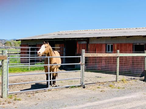 6858 Day Rd, Windsor, CA 95492 photo 27