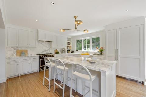 49 Hillside Ave, Mill Valley, CA 94941 photo 16