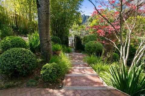 49 Hillside Ave, Mill Valley, CA 94941 photo 50