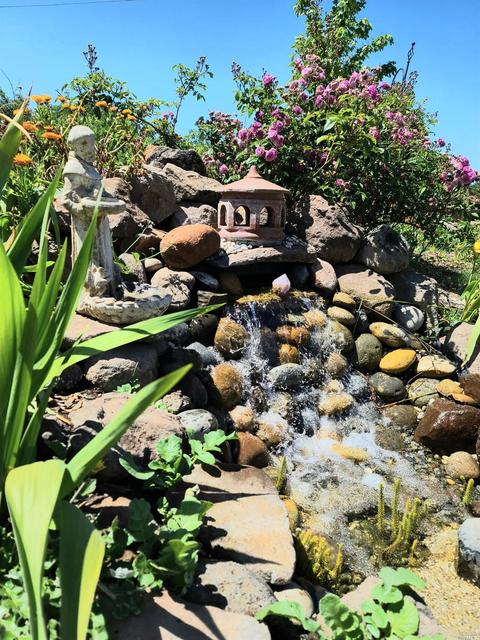 8150 Germone Rd, Sebastopol, CA 95472 photo 56