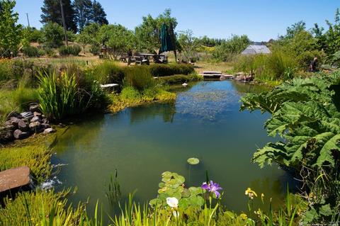 8150 Germone Rd, Sebastopol, CA 95472 photo 29