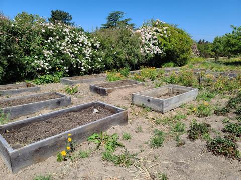 8150 Germone Rd, Sebastopol, CA 95472 photo 54