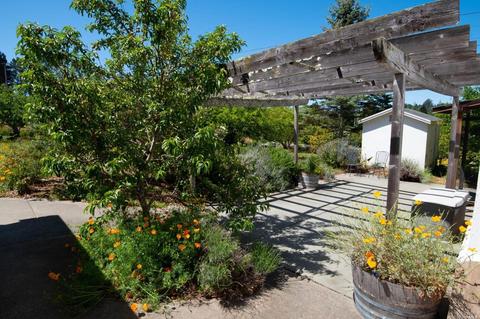 8150 Germone Rd, Sebastopol, CA 95472 photo 30