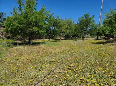 8150 Germone Rd, Sebastopol, CA 95472 photo 55