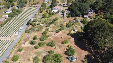 8150 Germone Rd, Sebastopol, CA 95472 photo 7