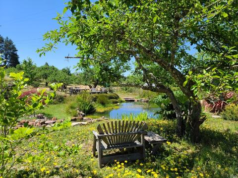 8150 Germone Rd, Sebastopol, CA 95472 photo 58