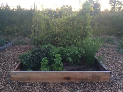 8150 Germone Rd, Sebastopol, CA 95472 photo 34