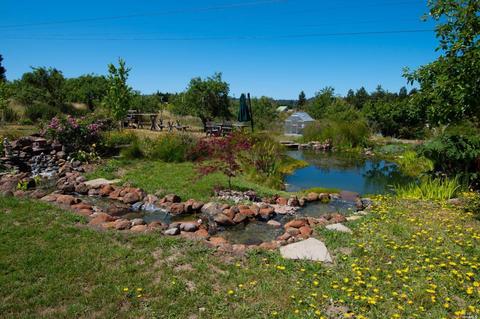 8150 Germone Rd, Sebastopol, CA 95472 photo 49