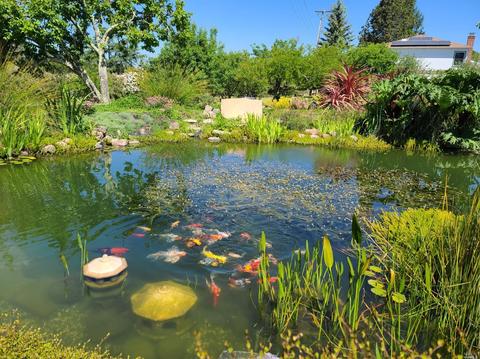8150 Germone Rd, Sebastopol, CA 95472 photo 53