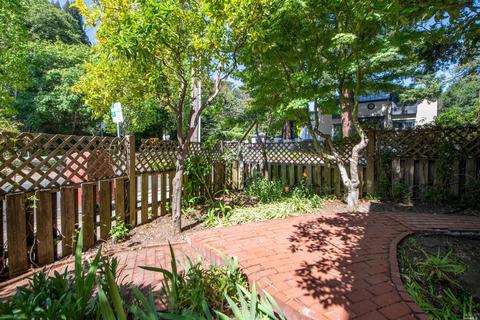8 Forrest St, Mill Valley, CA 94941 photo 23