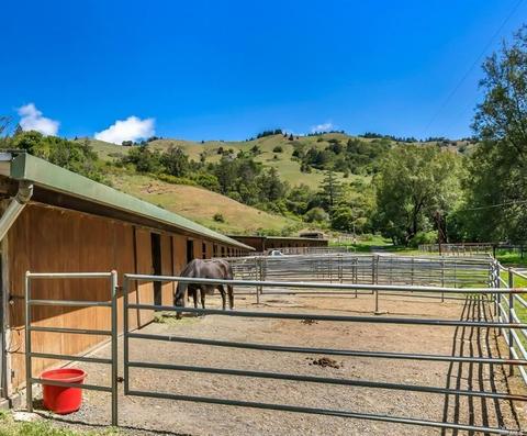 700 Nicasio Valley Rd, Nicasio, CA 94946 photo 10