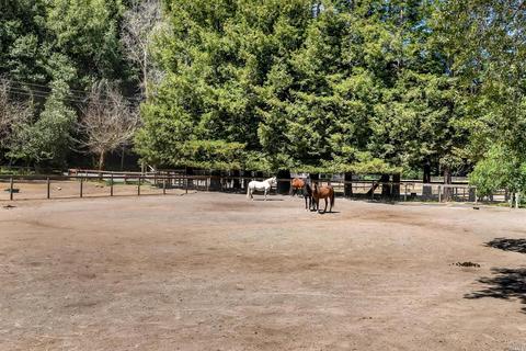 700 Nicasio Valley Rd, Nicasio, CA 94946 photo 8