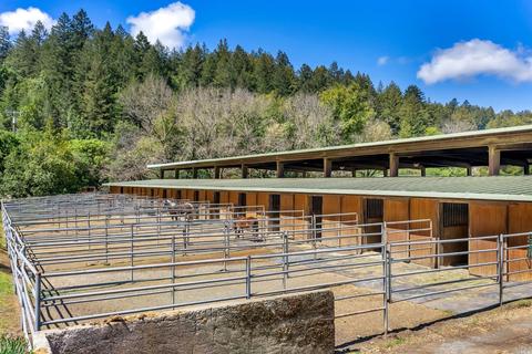 700 Nicasio Valley Rd, Nicasio, CA 94946 photo 11