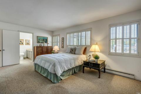 700 Nicasio Valley Rd, Nicasio, CA 94946 photo 38