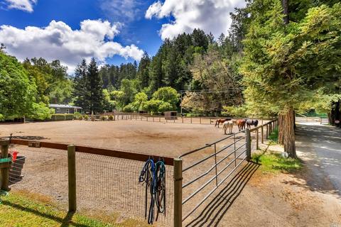 700 Nicasio Valley Rd, Nicasio, CA 94946 photo 6