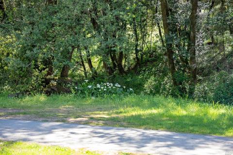 700 Nicasio Valley Rd, Nicasio, CA 94946 photo 22