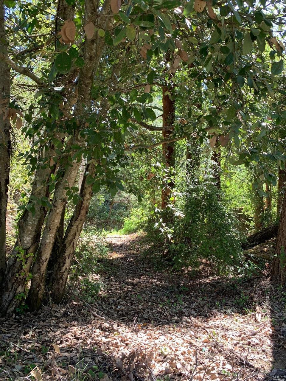 39281 Old Stage Rd, Gualala, CA 95445 MLS 321033329 Movoto