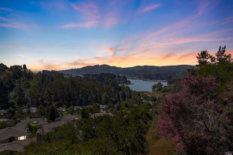 76 Milland Dr, Mill Valley, CA 94941 photo 45