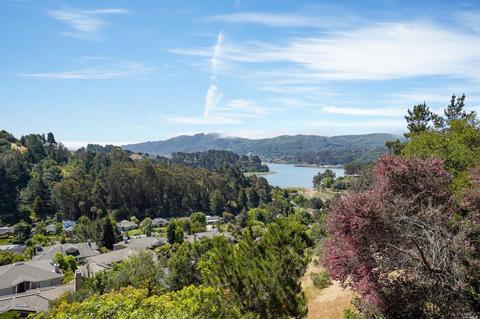 76 Milland Dr, Mill Valley, CA 94941 photo 41