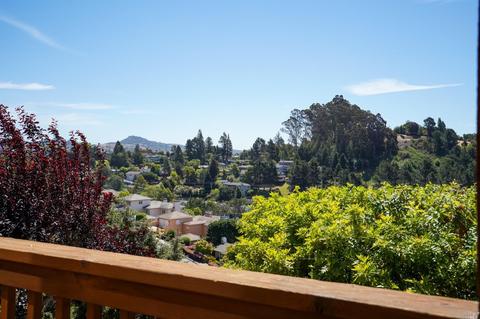 76 Milland Dr, Mill Valley, CA 94941 photo 37
