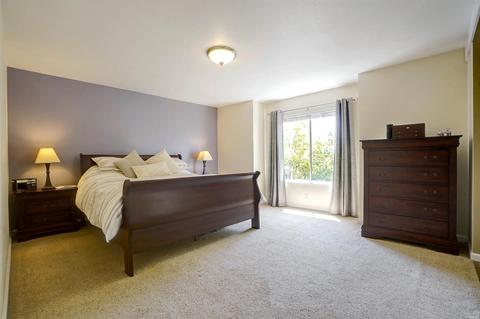 9213 Piccadilly Cir, Windsor, CA 95492 photo 21