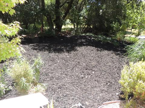 175-177 Nelson Way, Sebastopol, CA 95472 photo 31