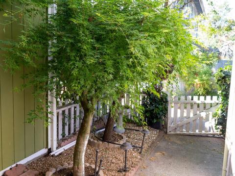 2849 Bowen St, Graton, CA 95444 photo 29