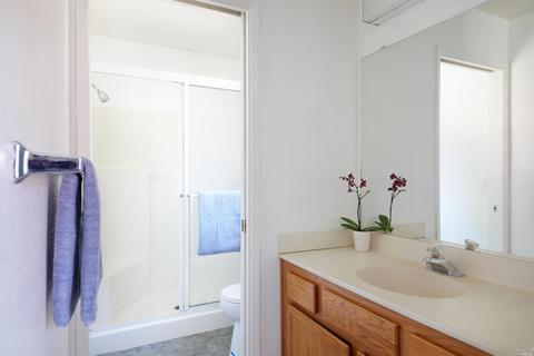 613 Smoketree Ct, Windsor, CA 95492 photo 19