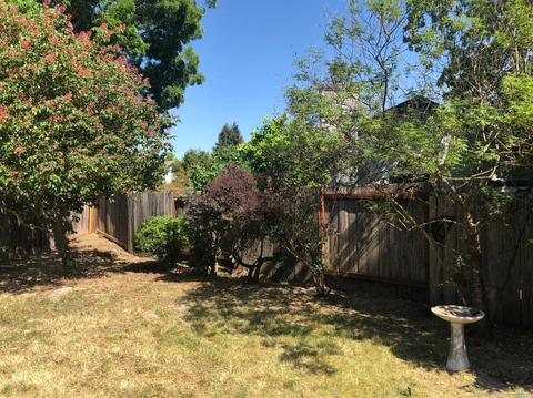 613 Smoketree Ct, Windsor, CA 95492 photo 27