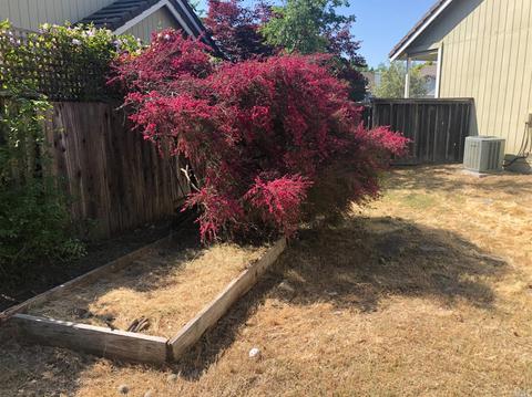 613 Smoketree Ct, Windsor, CA 95492 photo 24