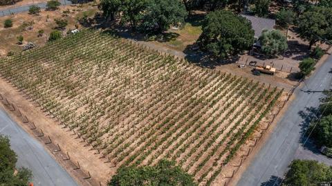 5817 Sharp Rd, Calistoga, CA 94515 photo 42
