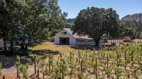 5817 Sharp Rd, Calistoga, CA 94515 photo 44