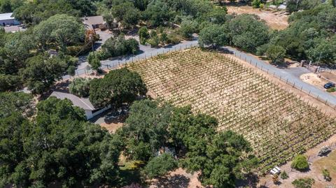 5817 Sharp Rd, Calistoga, CA 94515 photo 43