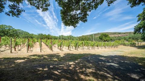 5817 Sharp Rd, Calistoga, CA 94515 photo 41