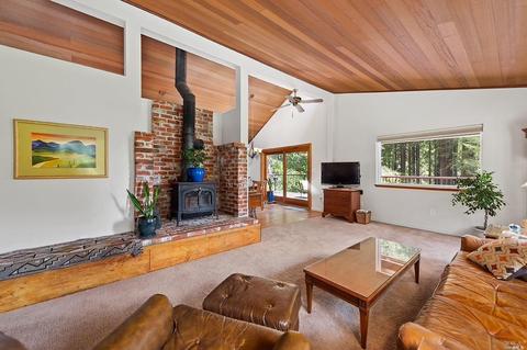 2673 Joy Rd, Occidental, CA 95465 photo 15
