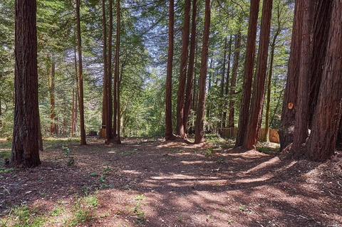 2673 Joy Rd, Occidental, CA 95465 photo 67