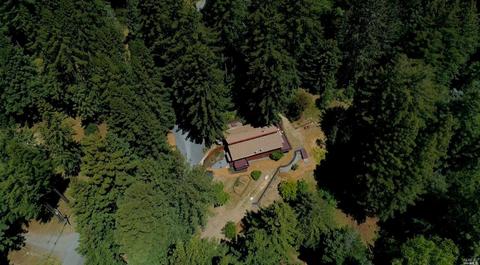 2673 Joy Rd, Occidental, CA 95465 photo 59