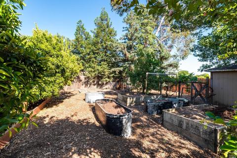 211 Grove St, Windsor, CA 95492 photo 22