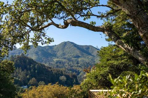 52 Cypress Ave, Mill Valley, CA 94941 photo 5