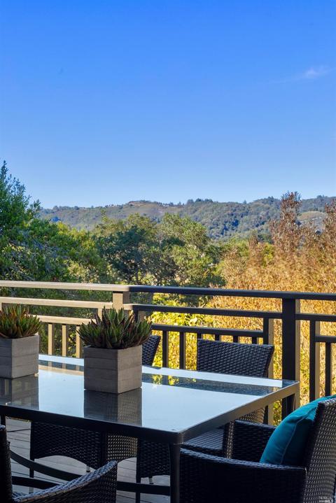 52 Cypress Ave, Mill Valley, CA 94941 photo 40