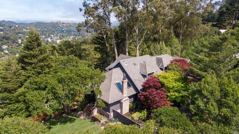 52 Cypress Ave, Mill Valley, CA 94941 photo 43
