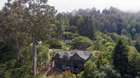 52 Cypress Ave, Mill Valley, CA 94941 photo 16