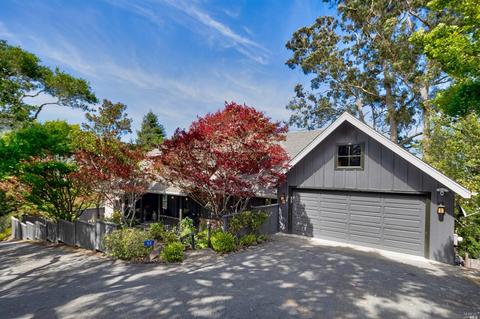52 Cypress Ave, Mill Valley, CA 94941 photo 48